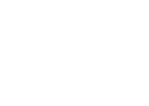 Sten Agency Logo